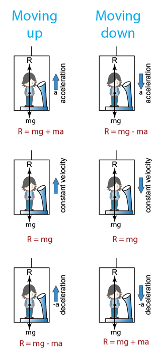 2-9-3-apparent-weight-in-a-lift-user-s-blog